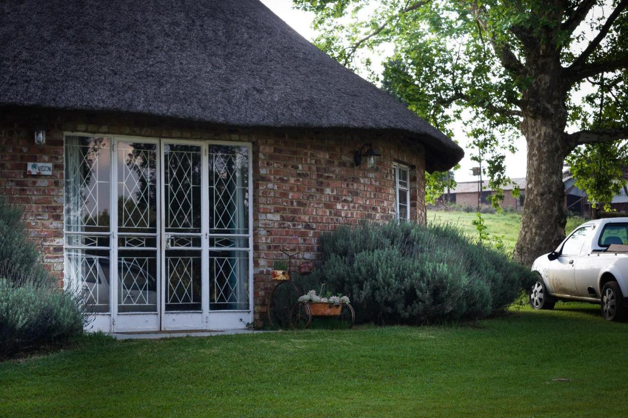 Suikerbosskuur Rondavel & Chalet Amsterdam 外观 照片