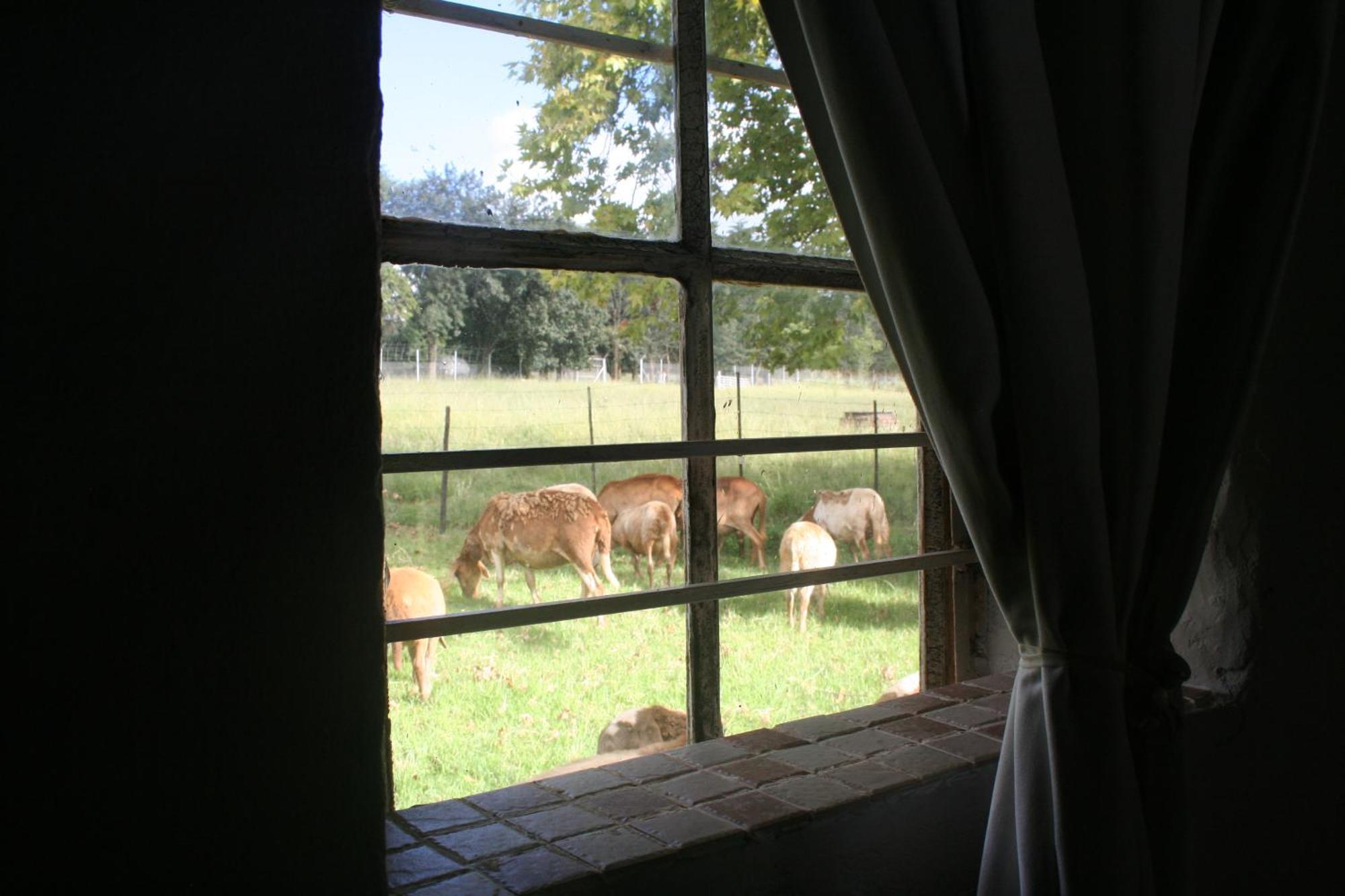 Suikerbosskuur Rondavel & Chalet Amsterdam 外观 照片